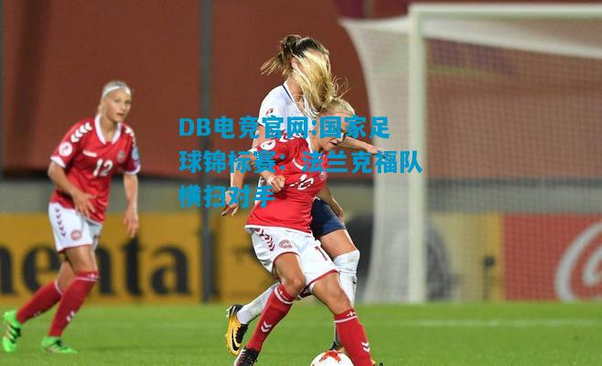 DB电竞官网:国家足球锦标赛：法兰克福队横扫对手